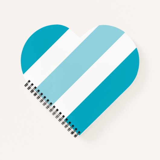 Carnet Bandes de deux tons (Devant)