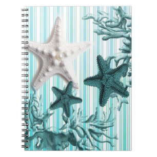 Carnet bandes nautiques aqua coquillages bleu étoile