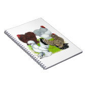 Carnet Bantams en plumes Legs (Côté Droit)