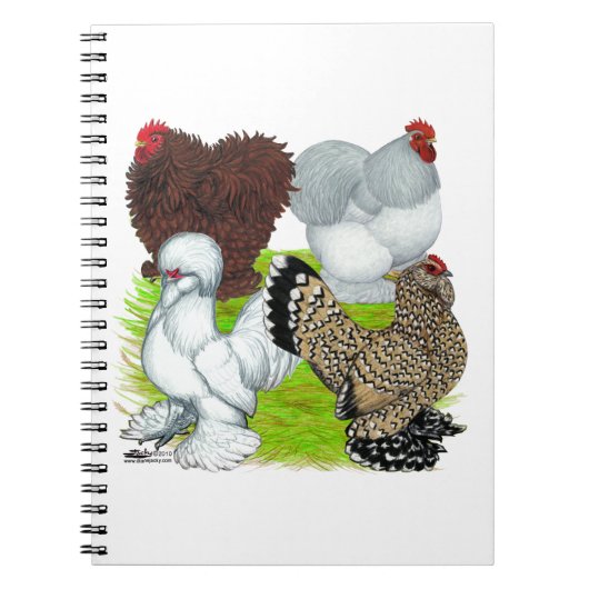 Carnet Bantams en plumes Legs (Devant)