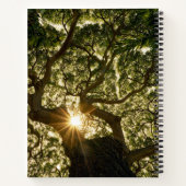 Carnet Banyan Tree Canopy Sunstar (Dos)