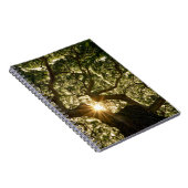 Carnet Banyan Tree Canopy Sunstar (Côté Droit)