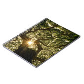 Carnet Banyan Tree Canopy Sunstar (Côté gauche)