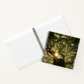 Carnet Banyan Tree Canopy Sunstar (Intérieur)