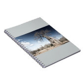 Carnet Baobab dans le parc national des piscines de Mana, (Côté Droit)