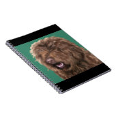 Carnet Barbet (Côté Droit)