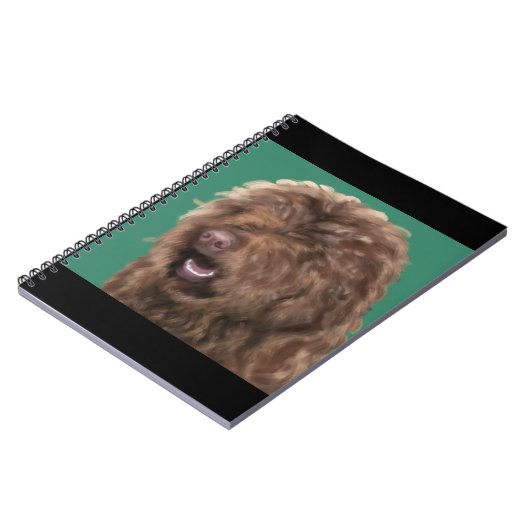 Carnet Barbet (Côté gauche)