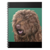 Carnet Barbet (Devant)