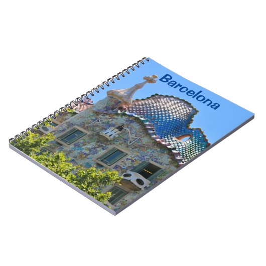 Carnet Barcelone : La maison Batllo de Gaudi (Côté gauche)