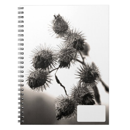 Carnet Bardane séchée (Devant)