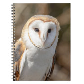 Carnet Barn Owl (Devant)