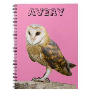 Carnet Barn Owl