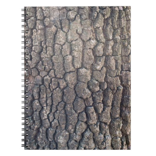 Carnet Barque d'arbre (Devant)