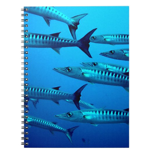 Carnet barracuda plongée mer profonde océan eau tropicale (Devant)