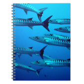 Carnet Barracudas (Devant)