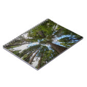 Carnet Barrage de Douglas Fir (Côté gauche)