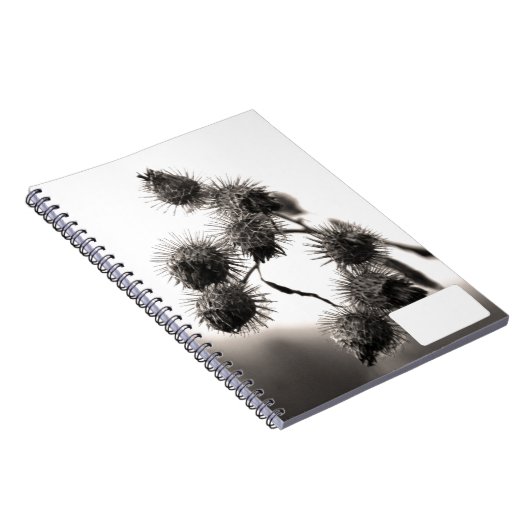 Carnet Barrage sec (Côté Droit)