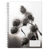 Carnet Barrage sec (Devant)