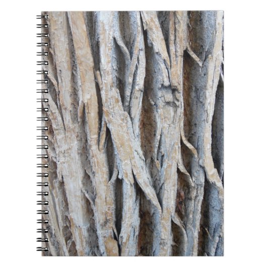 Carnet Barre d'arbre (Devant)