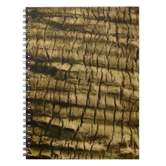 Carnet Barre de palmiers (Devant)