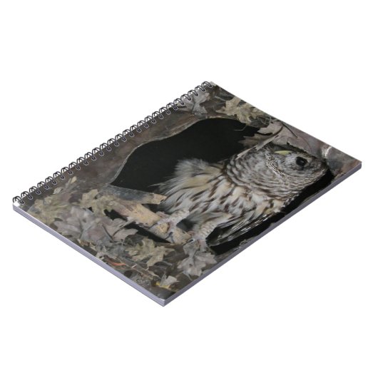 Carnet Barred Owl - Voici ce que vous regardez! (Côté gauche)