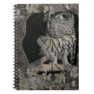 Carnet Barred Owl - Vous regardez !