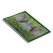 Carnet Barred Rock Hen (Côté Droit)