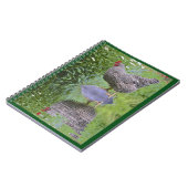 Carnet Barred Rock Hen (Côté gauche)