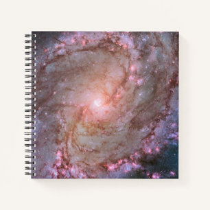 Carnet Barred Spiral Galaxy Messier 83.