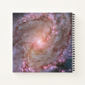 Carnet Barred Spiral Galaxy Messier 83. (Dos)