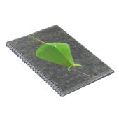 Carnet Barringtonia Acutangula (Côté Droit)