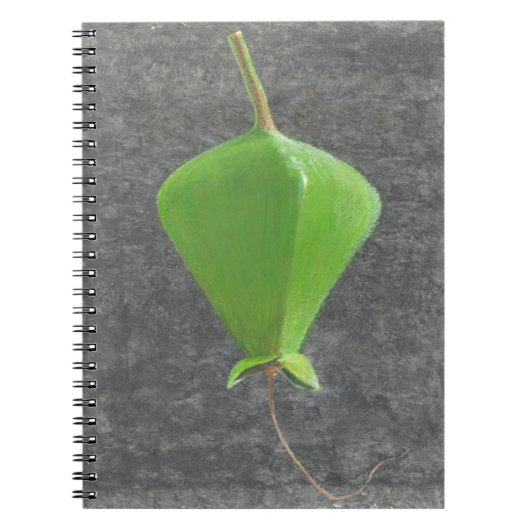 Carnet Barringtonia Acutangula (Devant)
