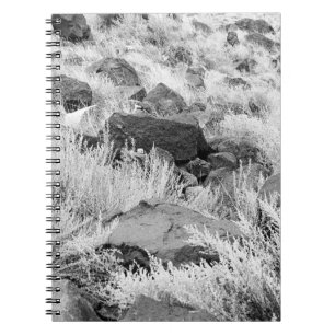 Carnet Basalt Lava Rocks dans le désert, noir et blanc Ph