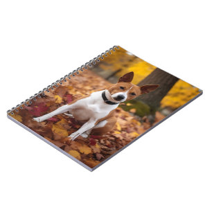 Carnet Basenji en automne Feuilles automne Inspiration