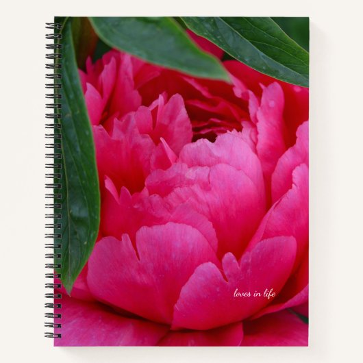 Carnet Bashful Pink Peony (Devant)