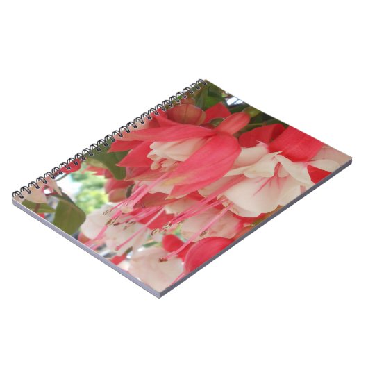 Carnet Bashkirtseff (Côté gauche)