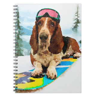 Carnet Basset hound en snowboard