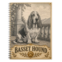 Basset Hound, patrimoine canin vintage