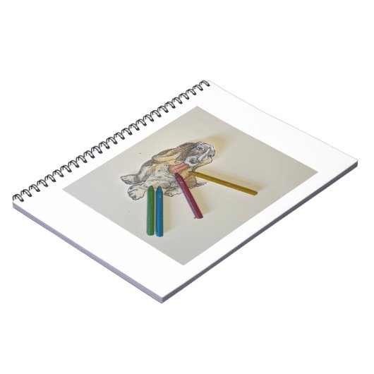 Carnet Bassie's Note Books (Côté gauche)