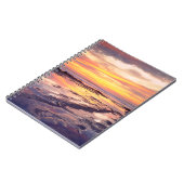 Carnet bassins de marée de Sunset Cliffs (Côté gauche)