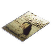 Carnet Bat (Côté gauche)