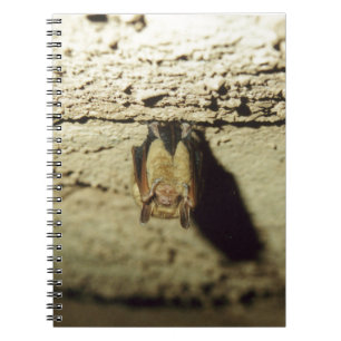 Carnet Bat