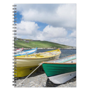 Carnet Bateaux à rames traditionnels