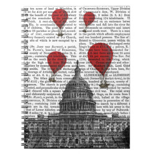 Carnet Bâtiment de capitol des USA et ballons à air d'un