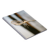 Carnet Bâton de crosse (Côté Droit)