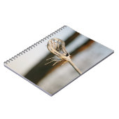 Carnet Bâton de crosse (Côté gauche)