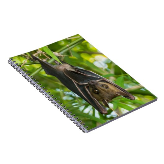 Carnet Batte (Côté Droit)