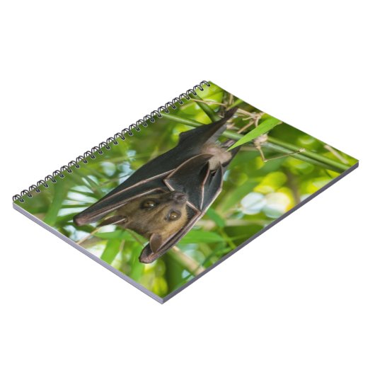 Carnet Batte (Côté gauche)