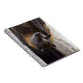 Carnet Batte australienne (Côté Droit)