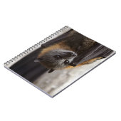 Carnet Batte australienne (Côté gauche)